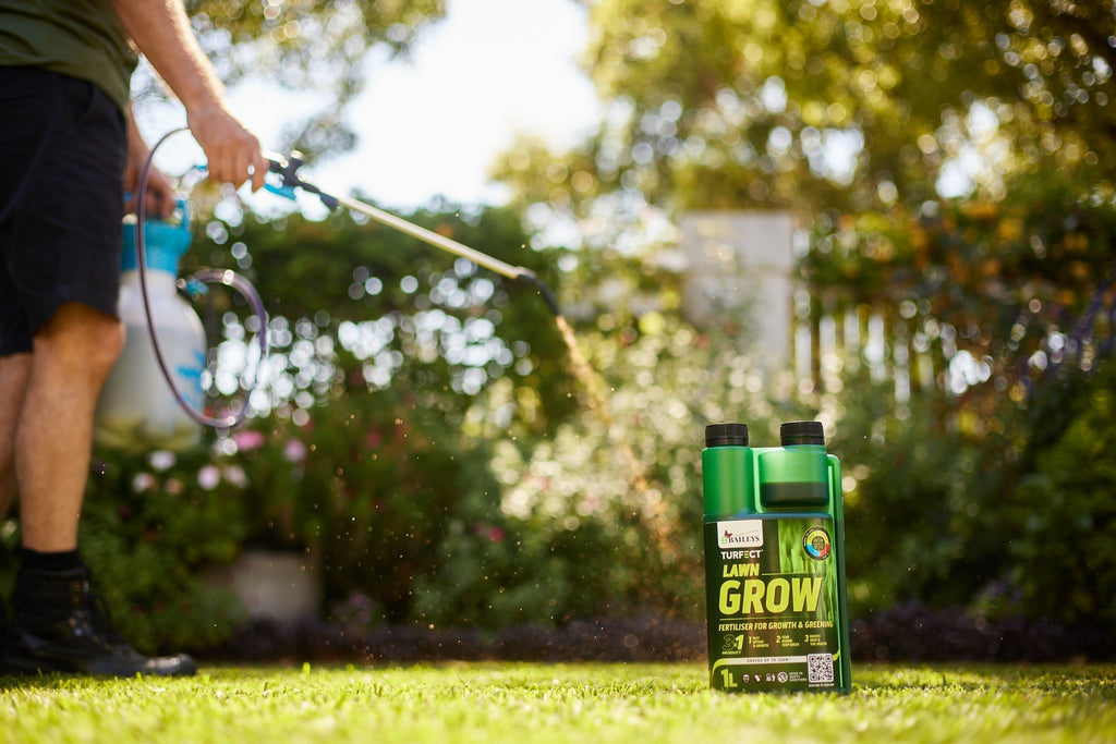 Winter Lawn Care in WA