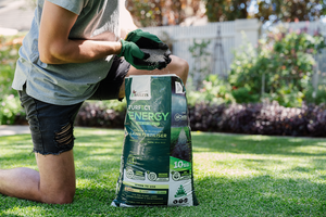 Spring Lawn Care in WA