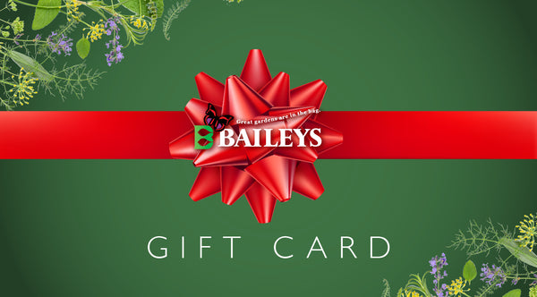 Baileys Gift Card